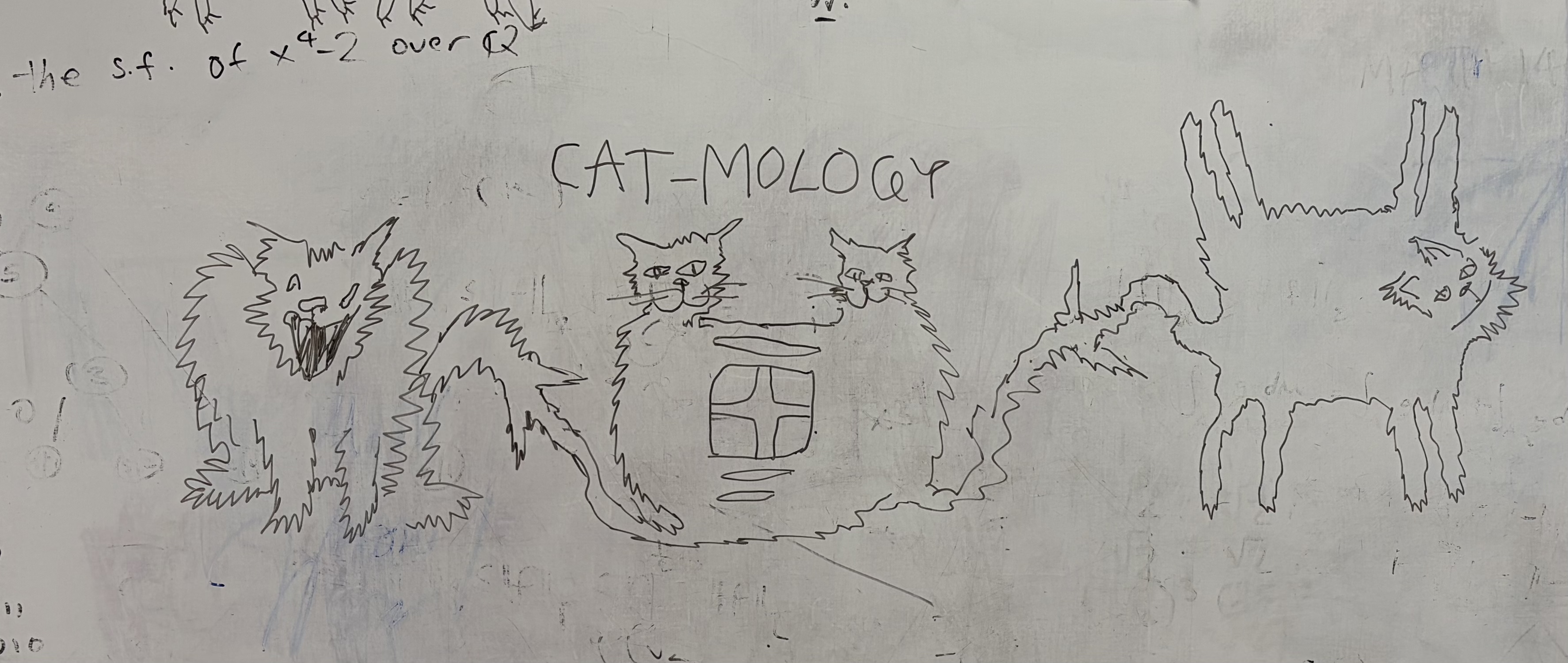 A row of the Mayer&ndash;Vietoris sequence for cat-mology